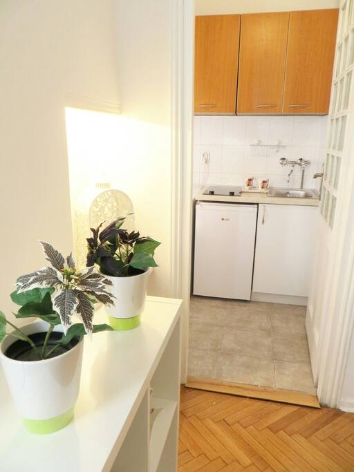 Apartment 1.