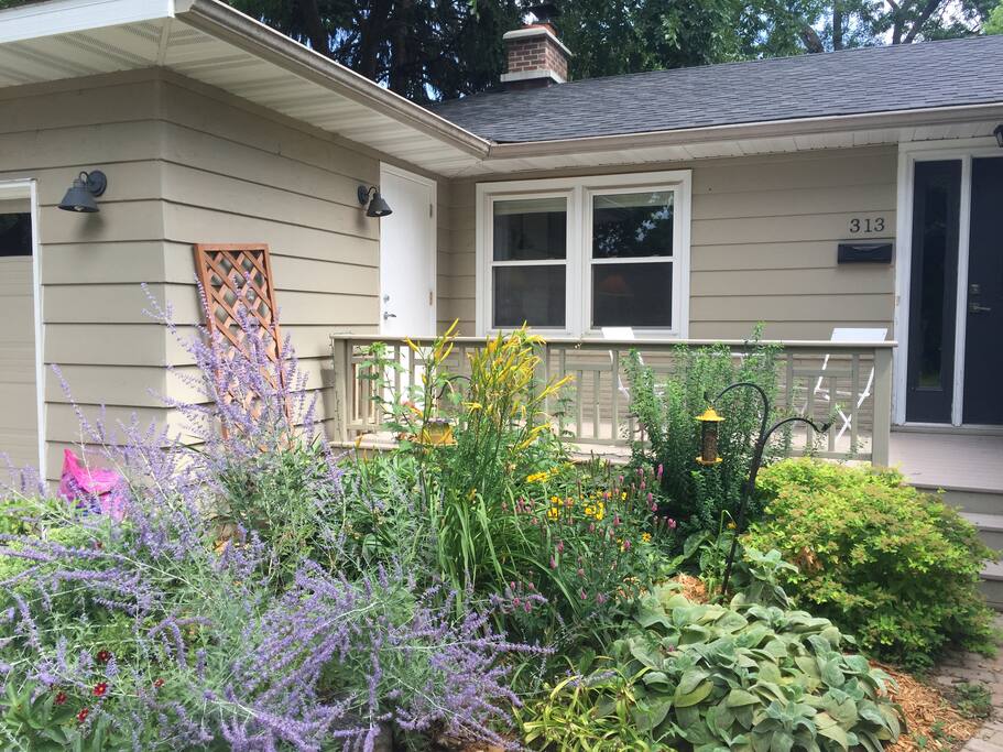 Spring perennials