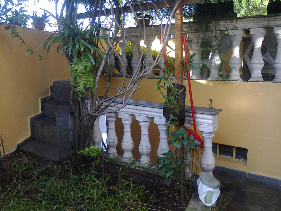 Jardim