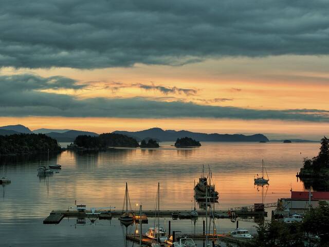 Ocean View Apartment Salt Spring Island – Unit 203 gallery image 4