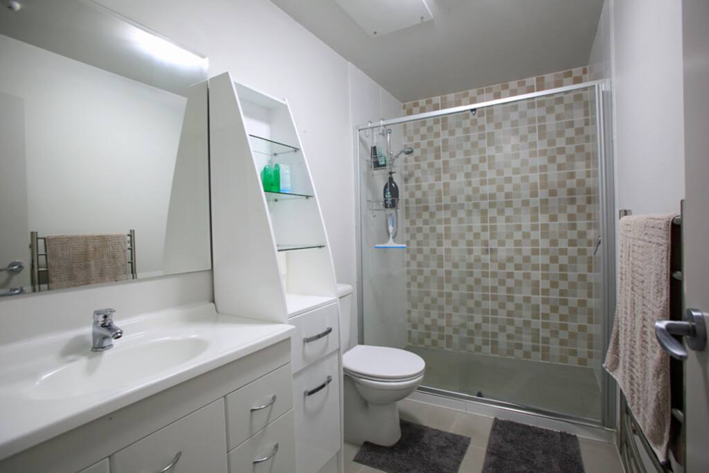 stylish spacious bathroom