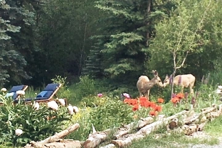 Stay Awhile:private studio near Vail&Beaver Creek