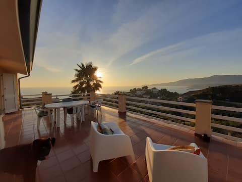 In the nest of the raptors