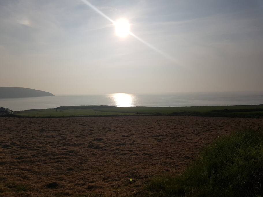 view from decking