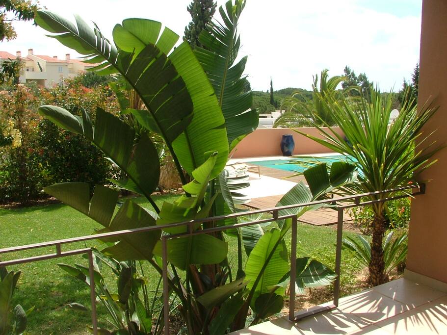 Garden & Pool view from outdoor dining room