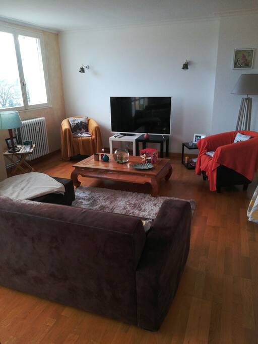 Salon avec télé écran plat