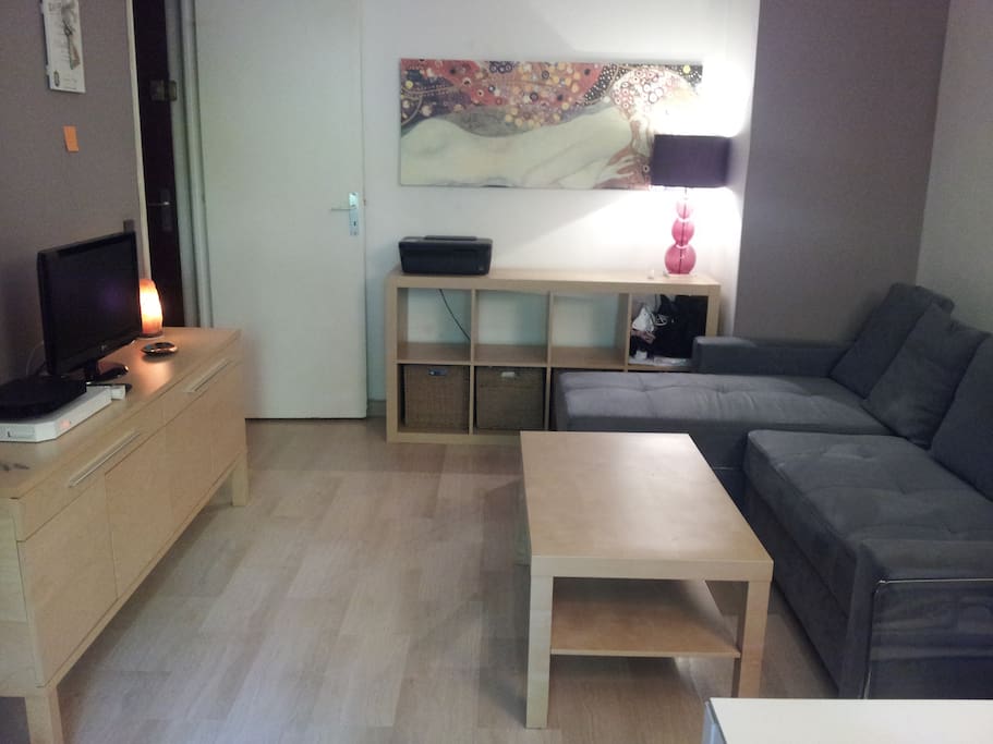 Salon 20m2 avec canapé convertible, TV, WIFI