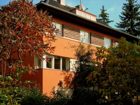Top performing Airbnb: Apartment in a historic ambiance in the south quarter in Thüringen