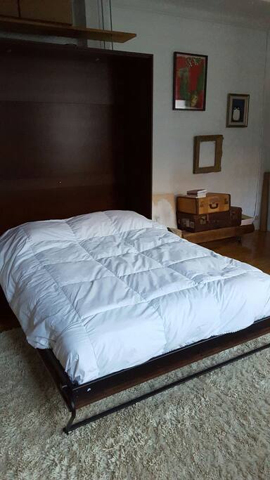 Murphy bed you can flip open/closed for a comfy night of sleep