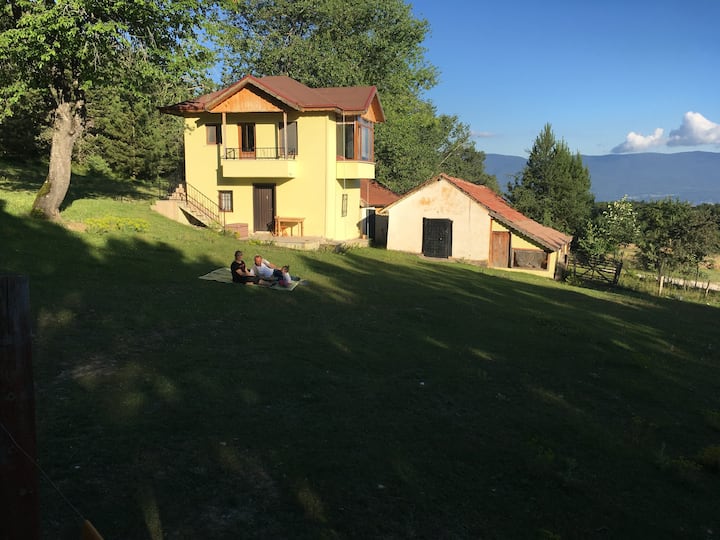 Neşe palamudu Dağ evi (Kücük ev) Çakmaklar Bolu Merkez şehrinde