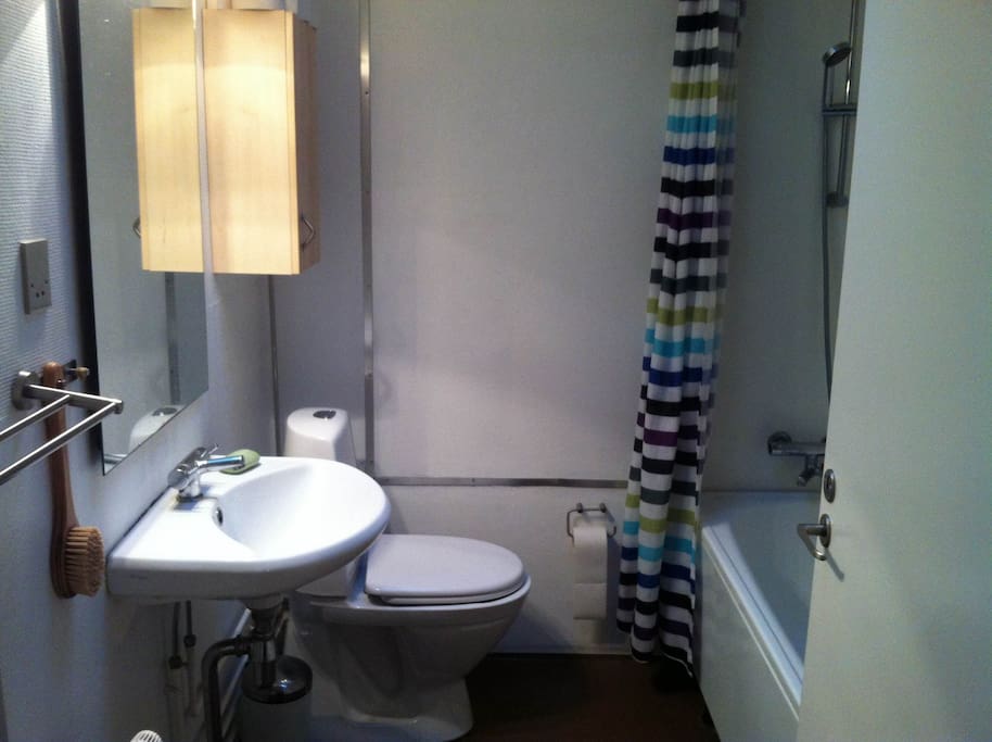 Toilet with bathtub and washing machine.