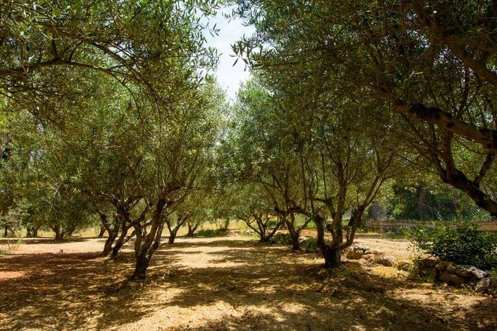 Little Eden Private Villa-6 homes/pool/party/event gallery image 3