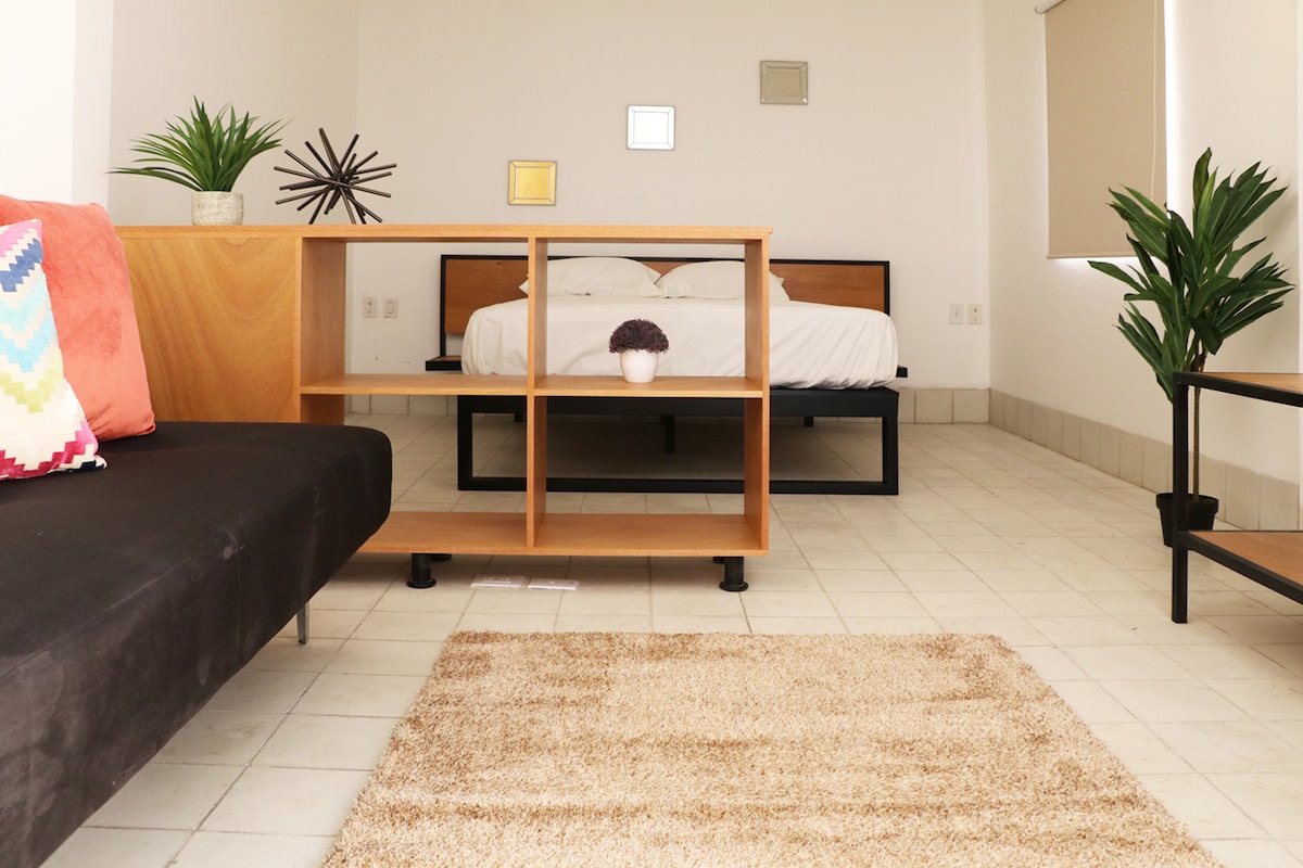 A spacious room features a wooden shelving unit dividing the sleeping area from the lounge space. A black sofa complements the design, while a light-colored rug covers the tiled floor. Tall plants are situated near the bed, enhancing the modern aesthetic.