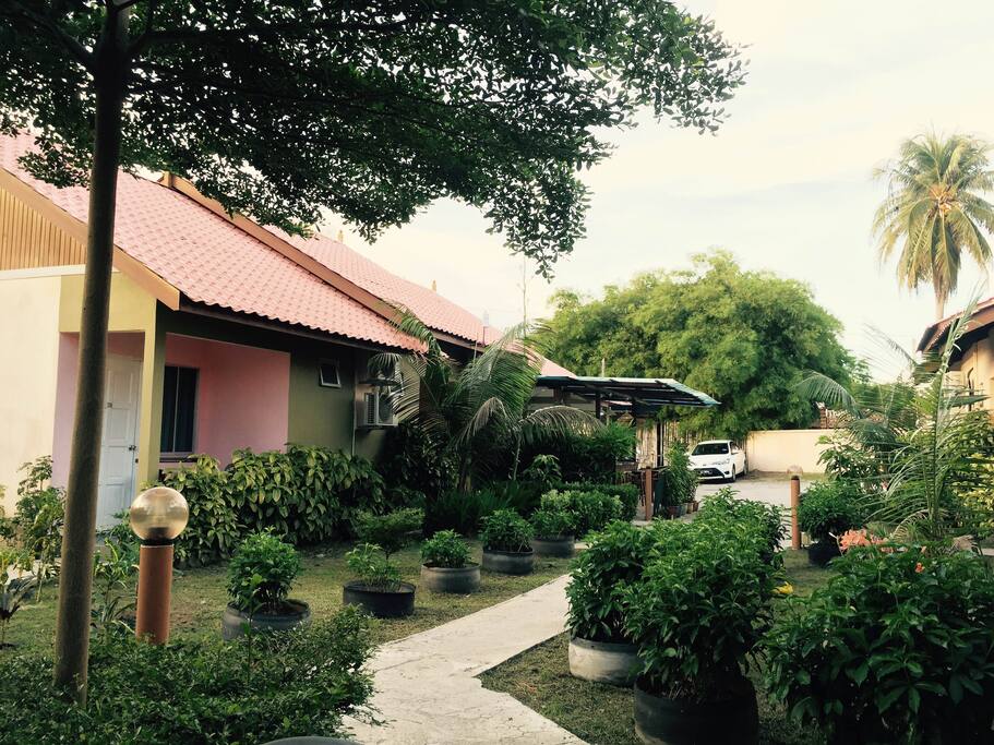 Garden view