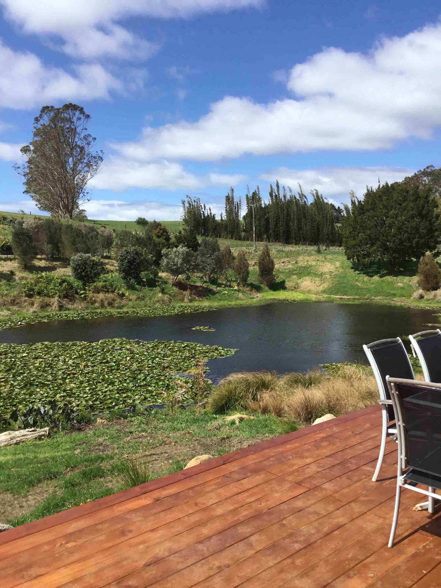 Flaxpod Kerikeri 1 Bedroom 2