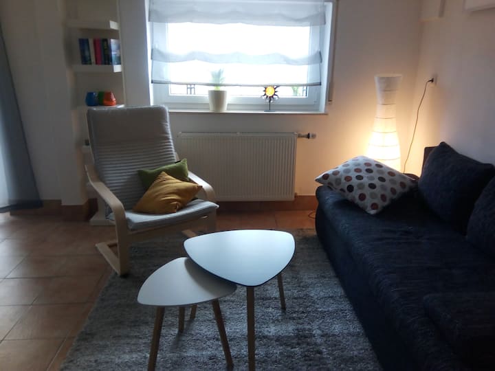 Ferienwohnung Fam Kohl Mit Rheinblick Wohnungen Zur Miete In Osterspai Rheinland Pfalz Deutschland