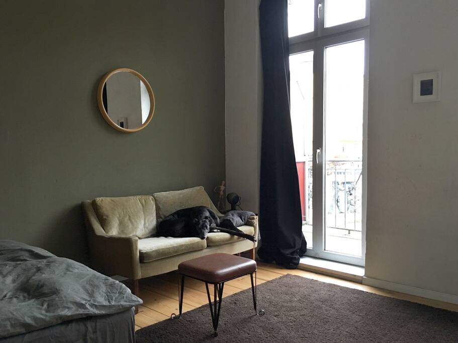 dog not included.