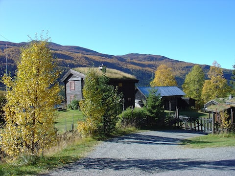 Top Airbnb: The old house on Eggen. in Gausdal