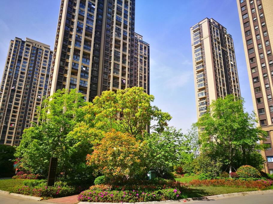 随手拍 小区内景