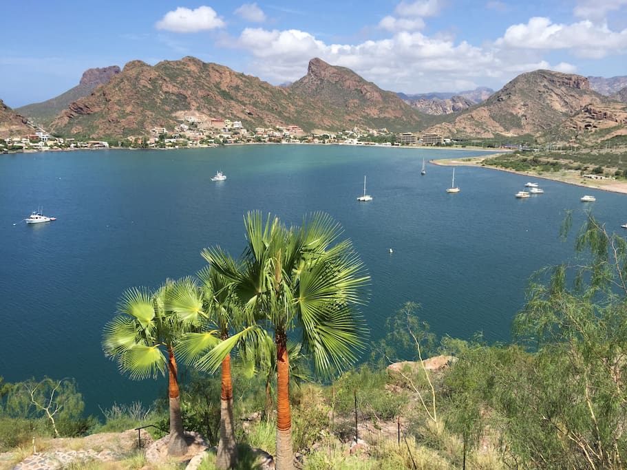 View of the Bay and the palm trees in the garden