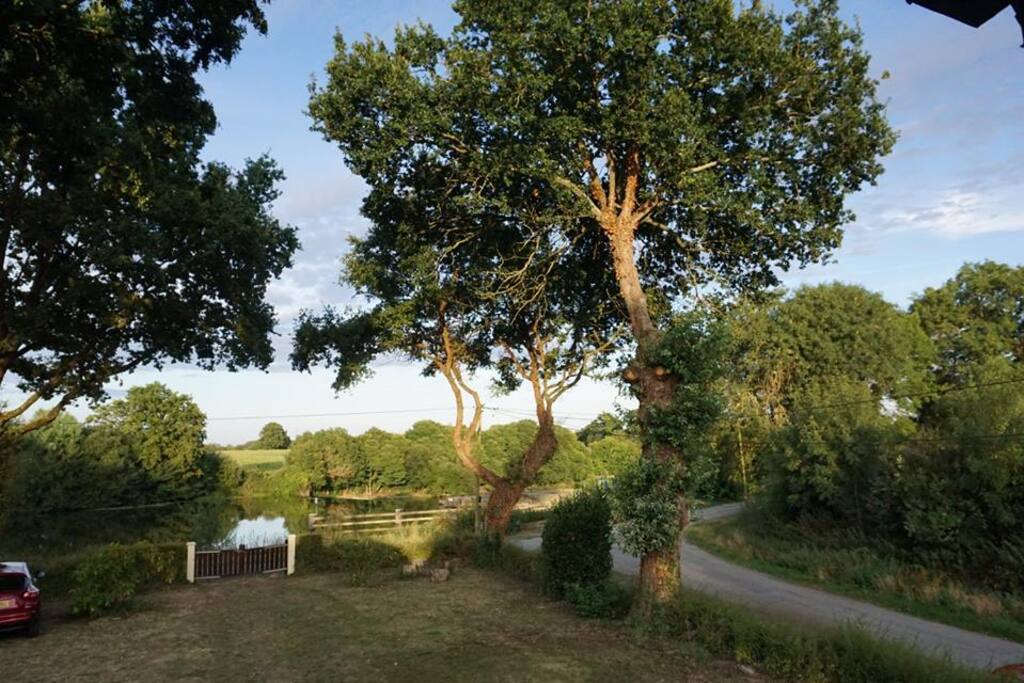 The Garden