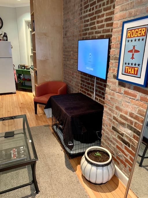 Loving Room (New 4K HDR TV and dog crate)