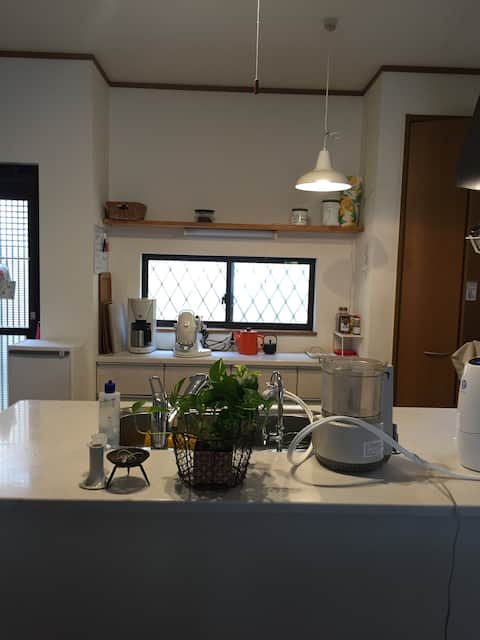 Stay with my sweet family2 cats  on a quiet hill 禅