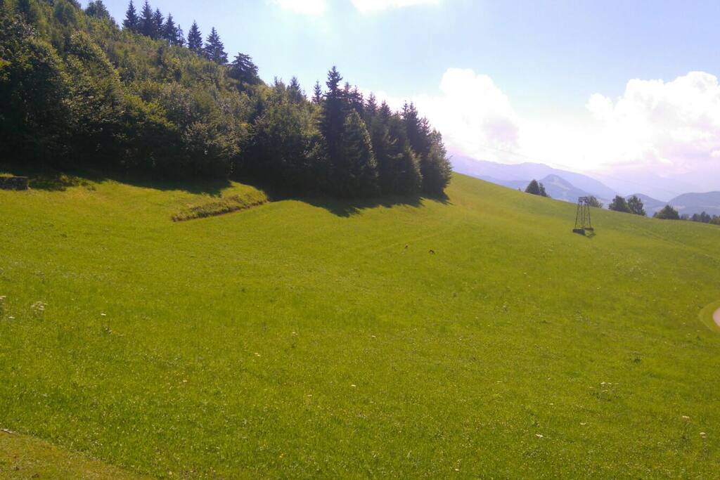 Blick auf die Skipiste mit Tennengebirge im Hintergrund