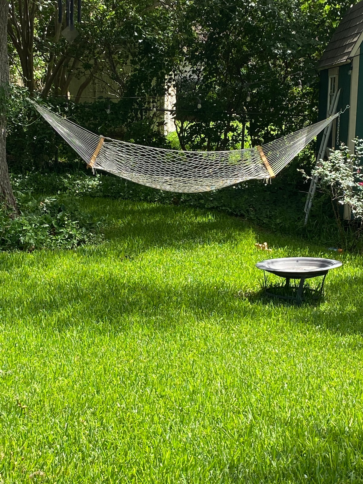 A spacious backyard features a hammock suspended between trees, surrounded by vibrant green grass. A fire pit stands nearby, offering a peaceful gathering spot. Lush foliage enhances the natural setting, contributing to a serene outdoor environment.