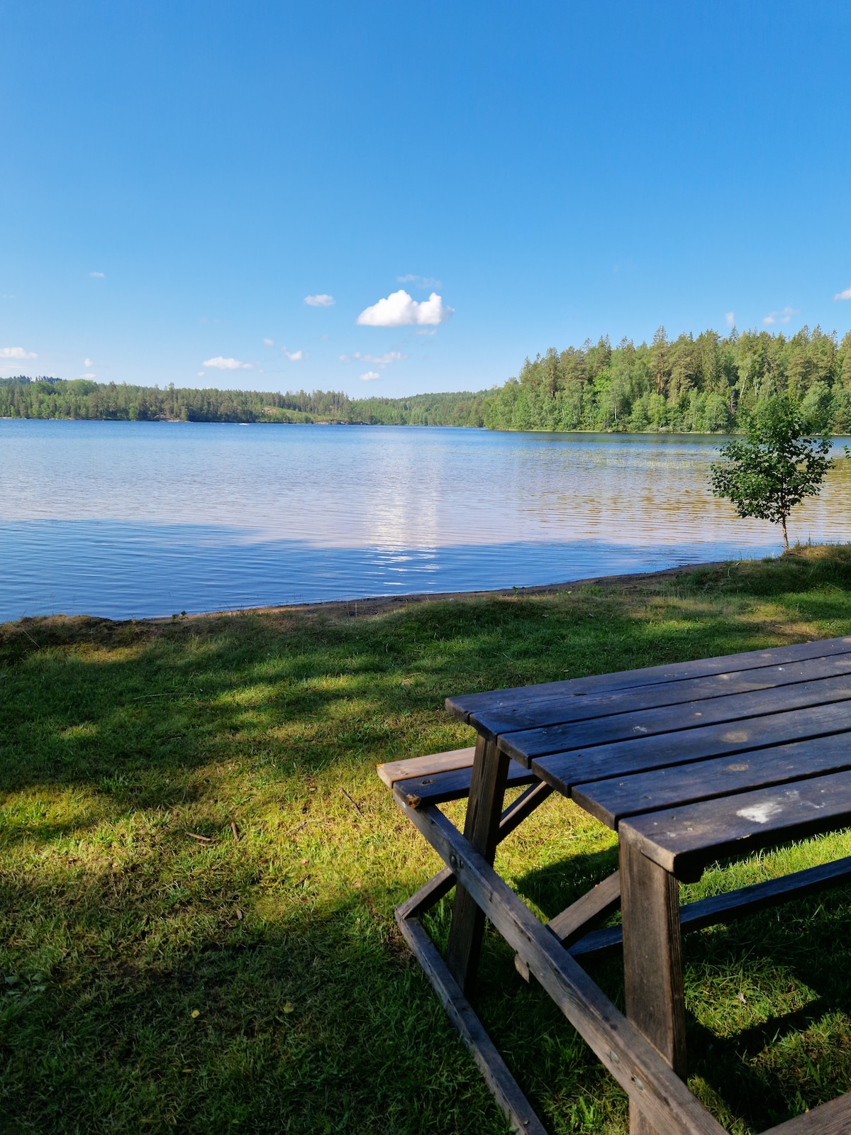 The serene lakeside setting showcases calm waters reflecting a bright blue sky with a few scattered clouds. A wooden picnic table stands on lush green grass, providing a perfect spot for outdoor relaxation, framed by trees along the shoreline.