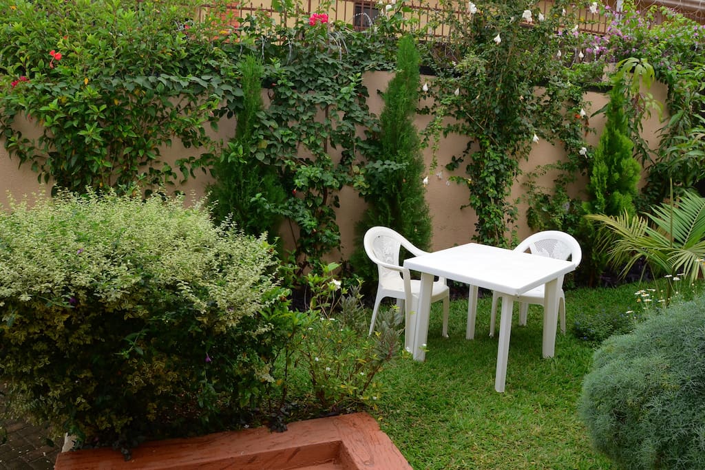 Garden view - an oasis.