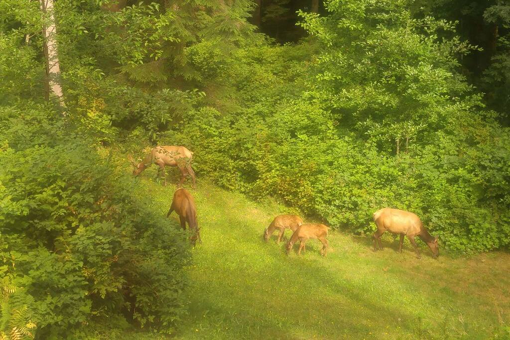 Visitors last summer