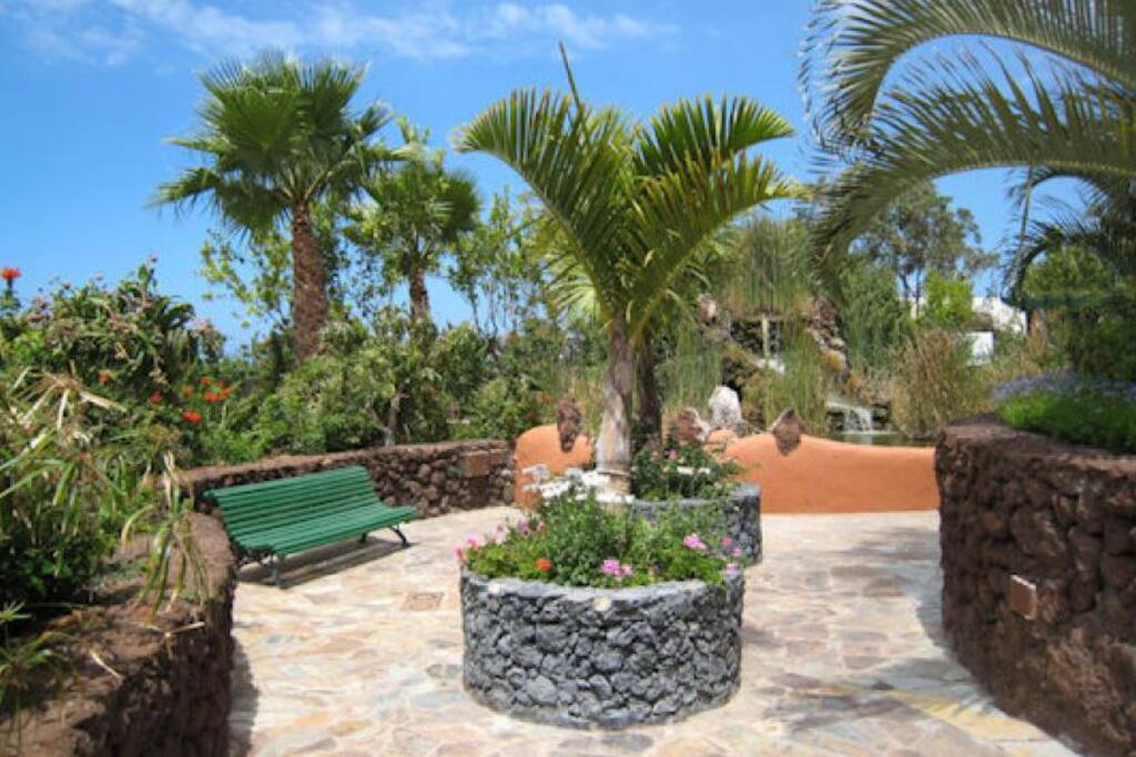 Relax in the part of the garden with small pond
