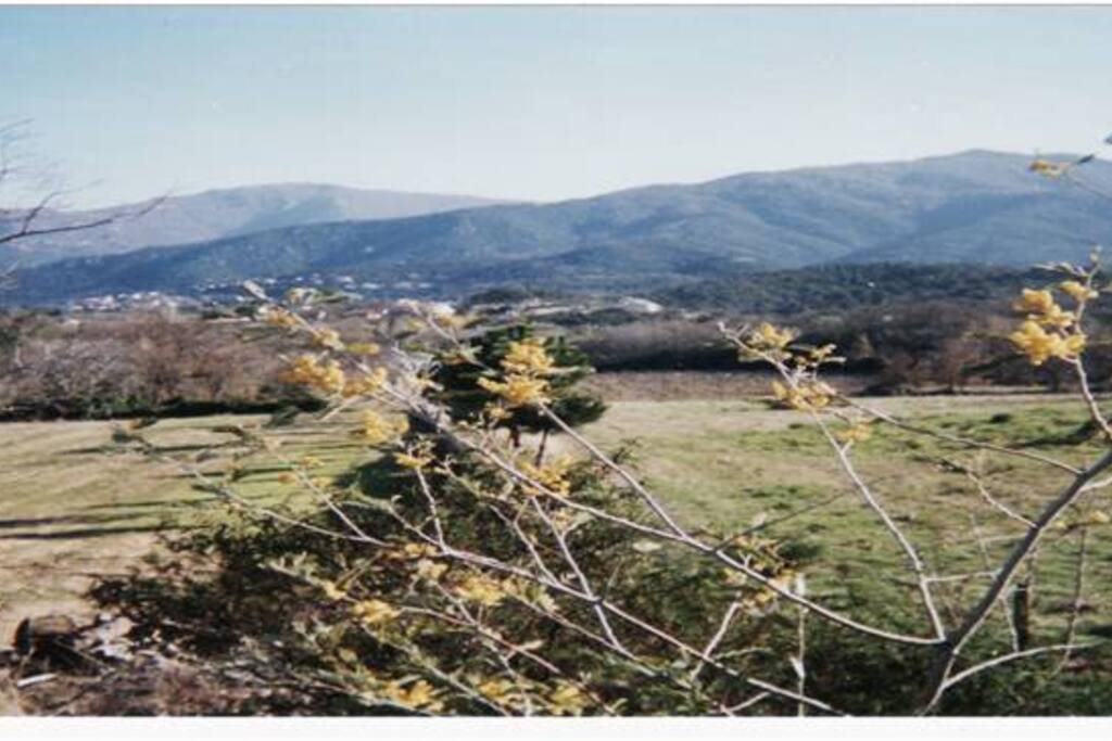 Notre village aux pied de la chaine des Albères
