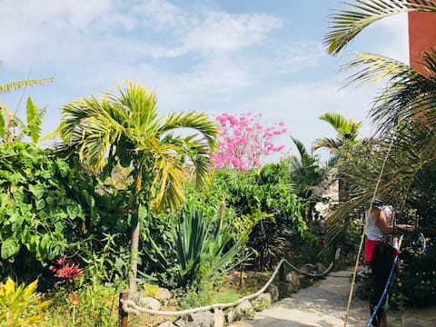 Traditional House Tenerife S. XVII
