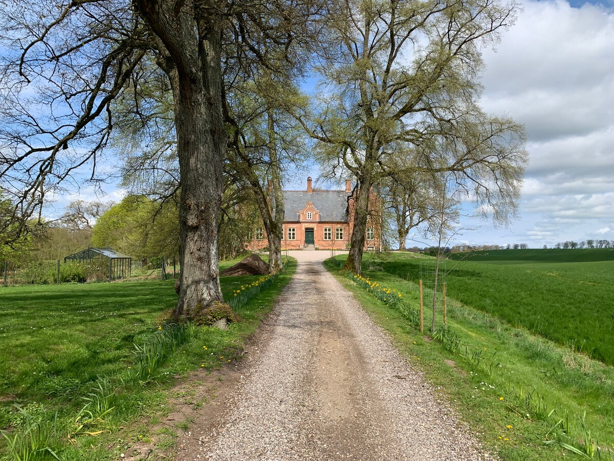 A gravel driveway leads to a charming brick house, framed by tall trees and lush greenery. Fields stretch into the distance on either side, under a partly cloudy sky. Vibrant greenery and wildflowers line the path, enhancing the natural setting.