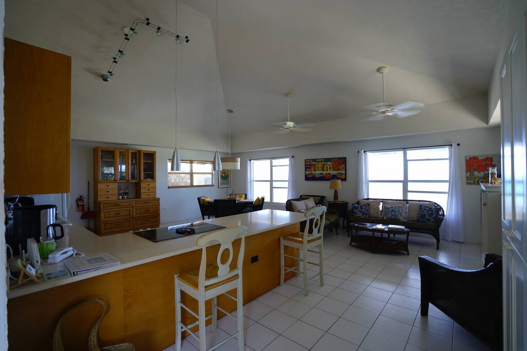 Light and Bright space with ocean views