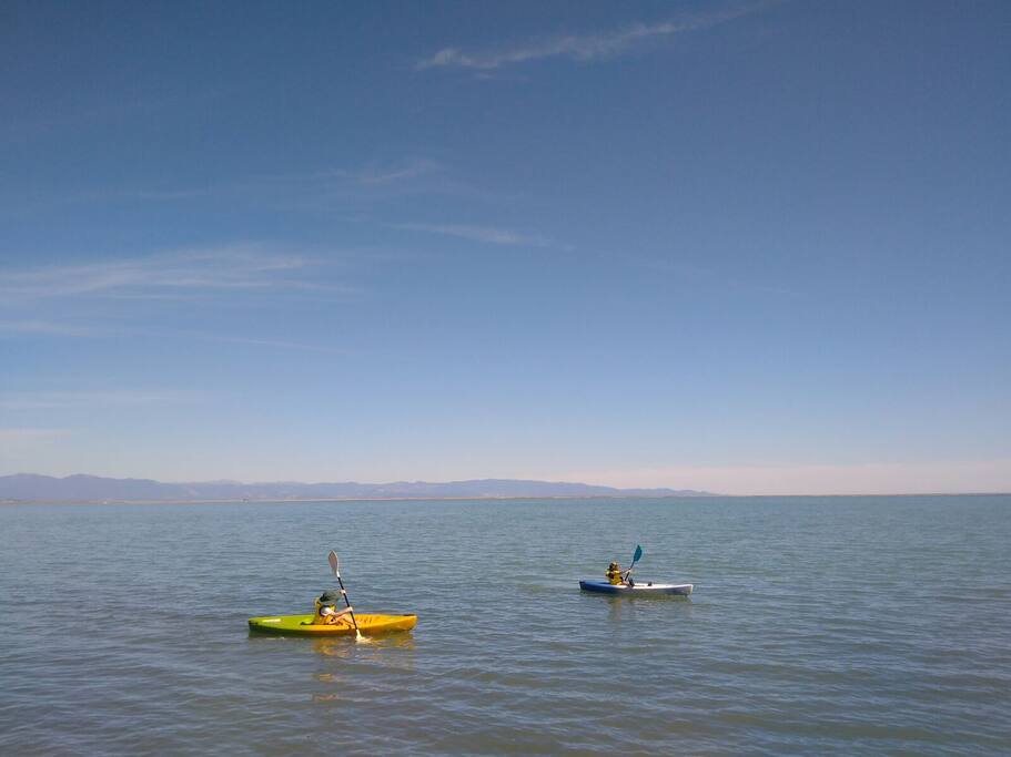 life jackets included