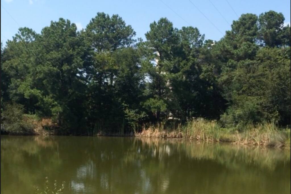Right outside the patio so bring your fishing poles. Red Fish always jumping!