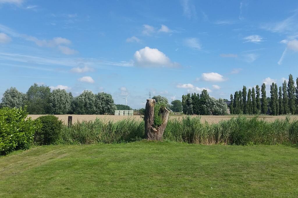 La vue depuis votre chambre