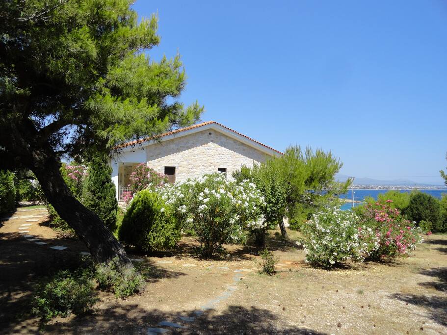 Villa Olive