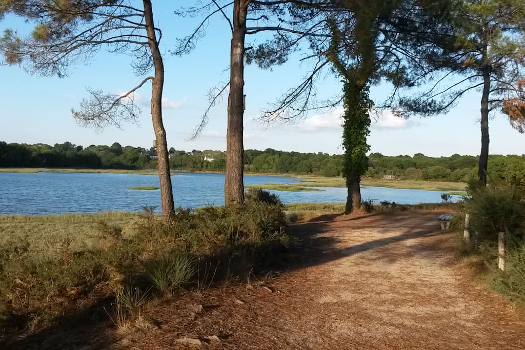 Le sentier côtier (au départ de notre rue)