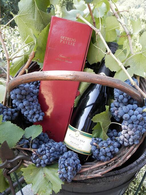 vino della zona