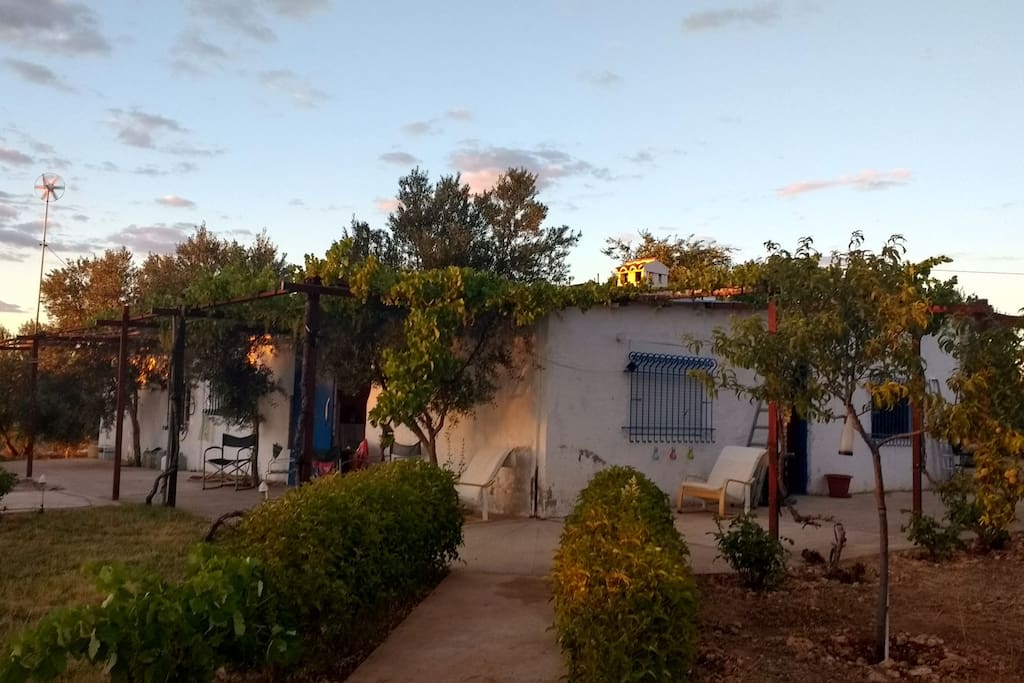 Alfinca sunset