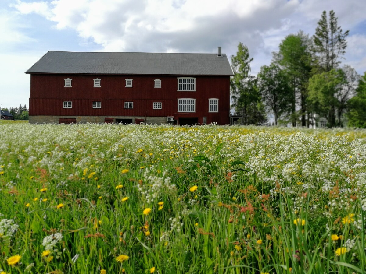 A traditional red barn stands amidst a vibrant field filled with wildflowers, including white and yellow blooms. The barn features several large windows, and the surrounding area is lined with trees that provide a serene backdrop to the open landscape.