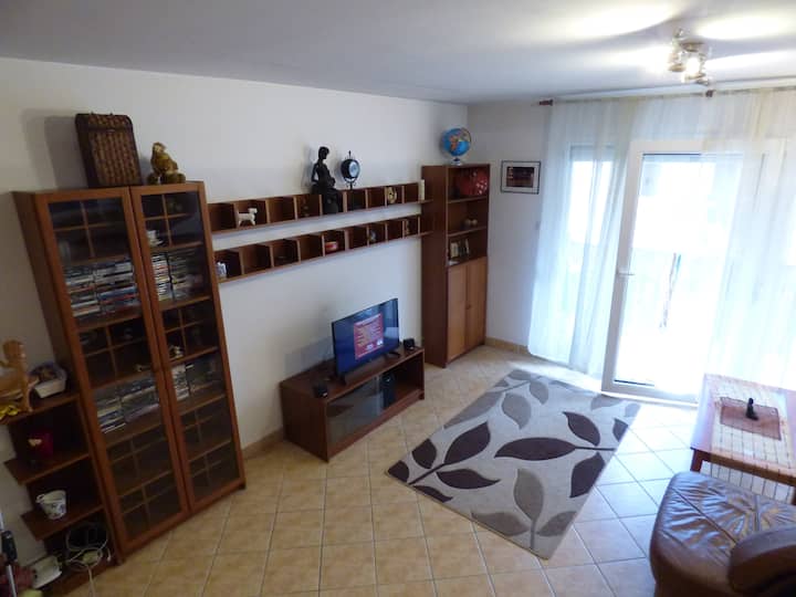 Sala con Smart (Internet) y TV por cable