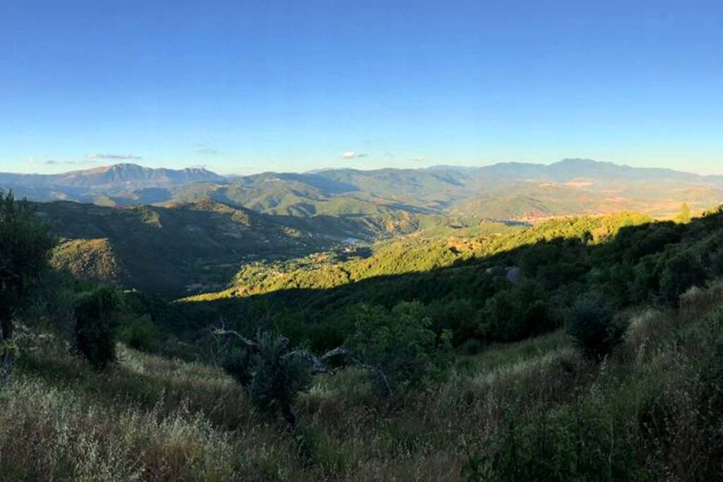 Dalla finestra