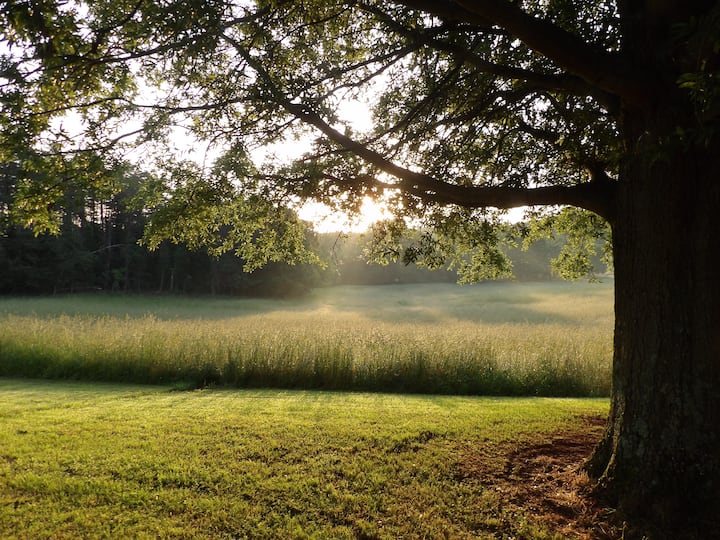 Top 10 Airbnb Vacation Rentals In Warrenton, Virginia Trip101