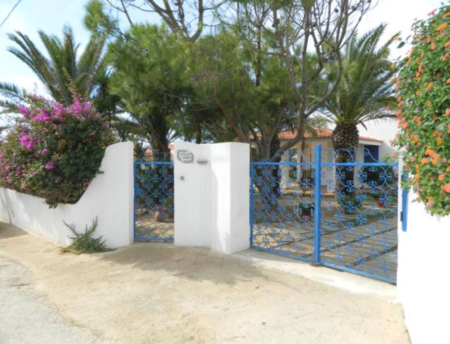 Ingresso