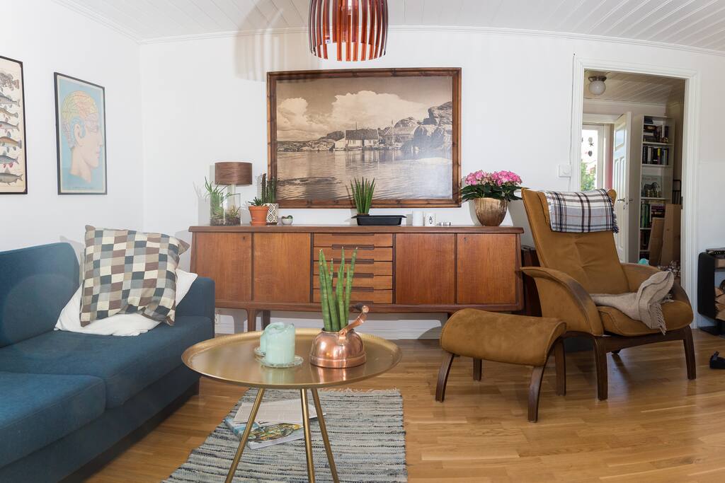 Livingroom and sofabed.